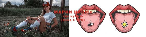 мдпв Вяземский